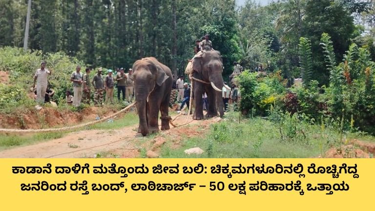 7 ದಿನಗಳಲ್ಲಿ 2 ಸಾವು: ಚಿಕ್ಕಮಗಳೂರಿನಲ್ಲಿ ಕಾಡಾನೆ ಕಾಟ ತಾರಕಕ್ಕೇರಿತು