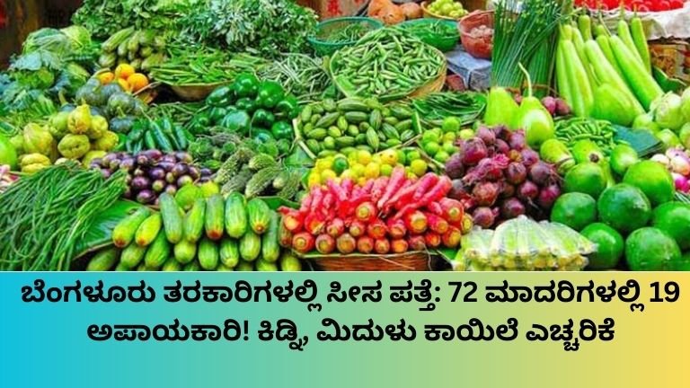ಬೆಂಗಳೂರು ತರಕಾರಿಗಳಲ್ಲಿ ಸೀಸ ಪತ್ತೆ 72 ಮಾದರಿಗಳಲ್ಲಿ 19 ಅಪಾಯಕಾರಿ! ಕಿಡ್ನಿ, ಮಿದುಳು ಕಾಯಿಲೆ ಎಚ್ಚರಿಕೆ